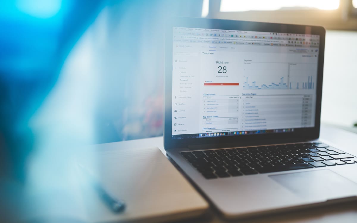 Google Ads ve SEO performans grafiklerinin yer aldığı çalışma ekranı
